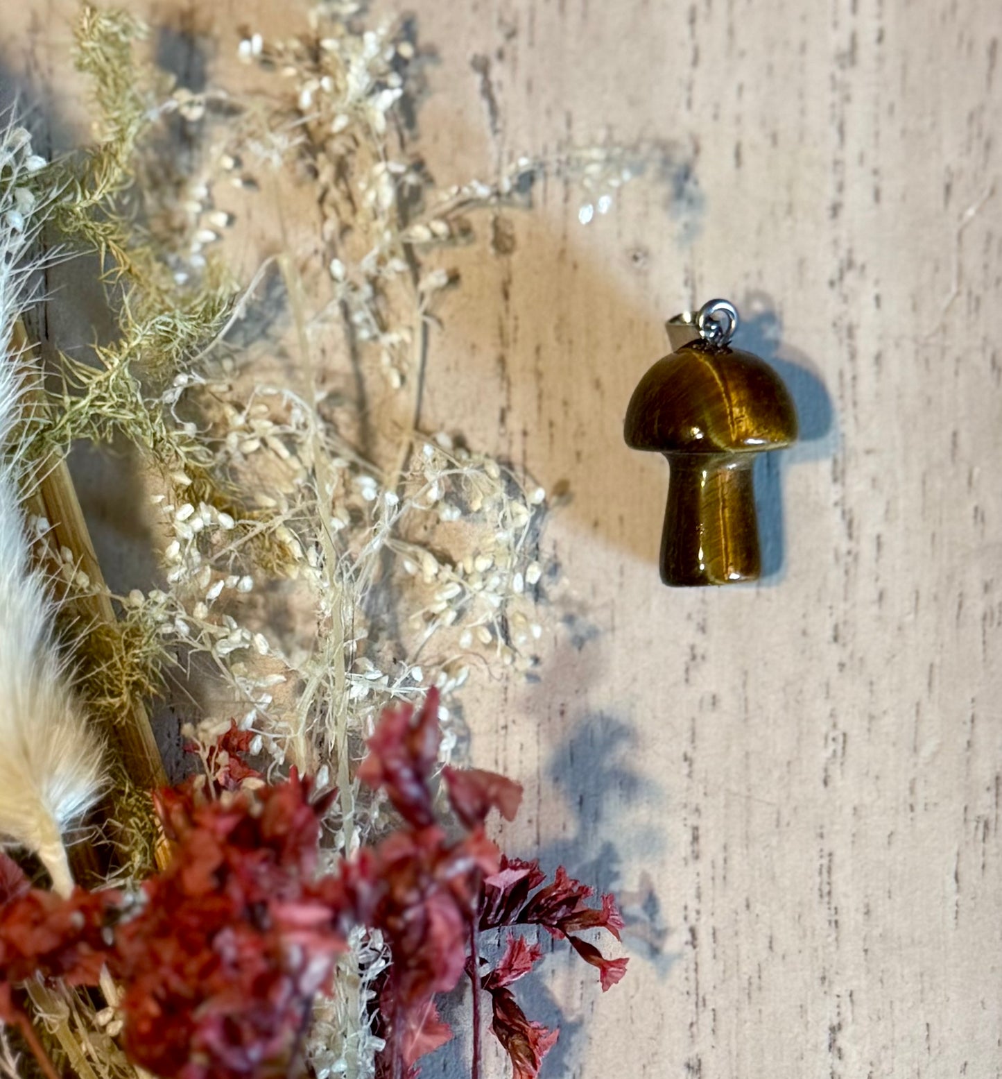 Tigers Eye 🤎  Mushroom 🍄 Pendant